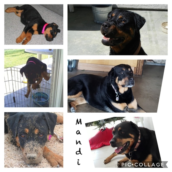 Meet your Posher.. - Picture 6 of 8